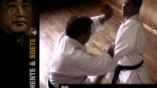 Techniques secrètes du Shotokan-Ryu Kase HA - Shadow of the Tiger de Sensei Albert Boutboul